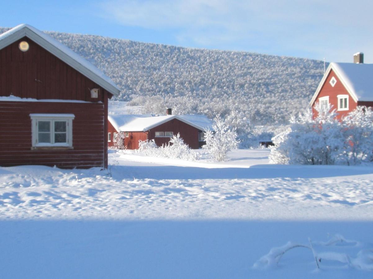 Varanger Kite Camp Austertana エクステリア 写真